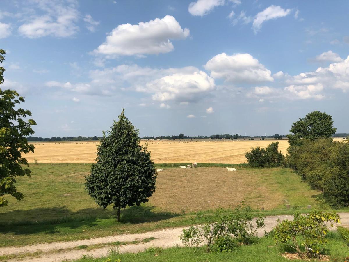 Ferienwohnung Gut Bielenberg Kollmar Exterior foto