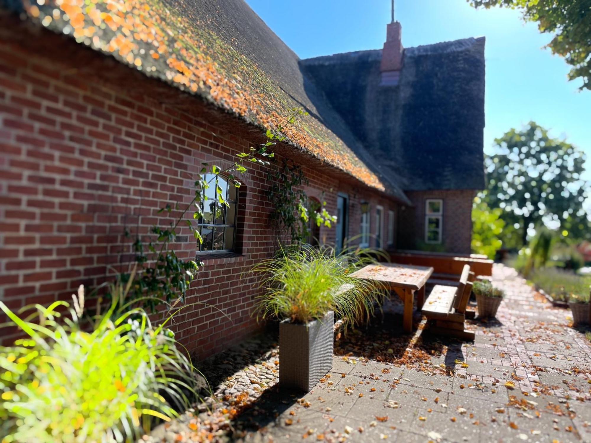 Ferienwohnung Gut Bielenberg Kollmar Exterior foto